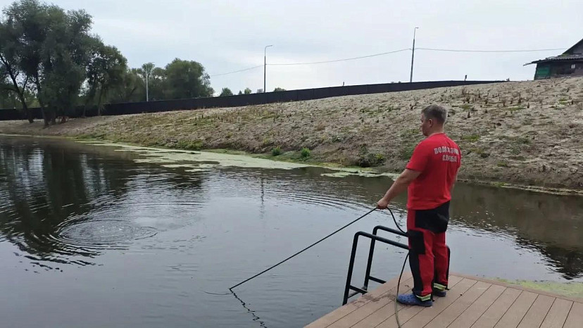 В Саратовской области водолазы извлекли из пруда утопленника